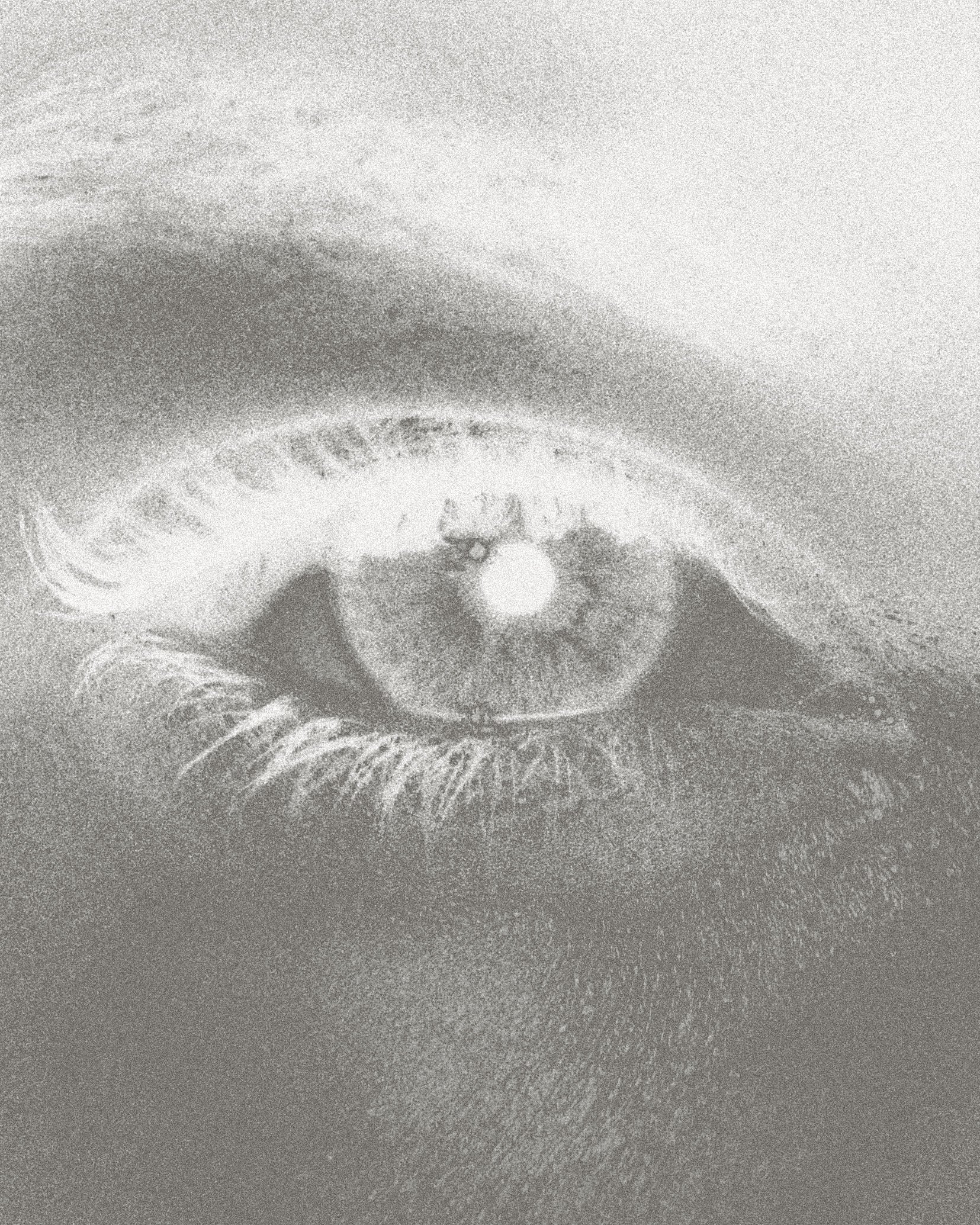 BLURRED STATES  MONO — 005