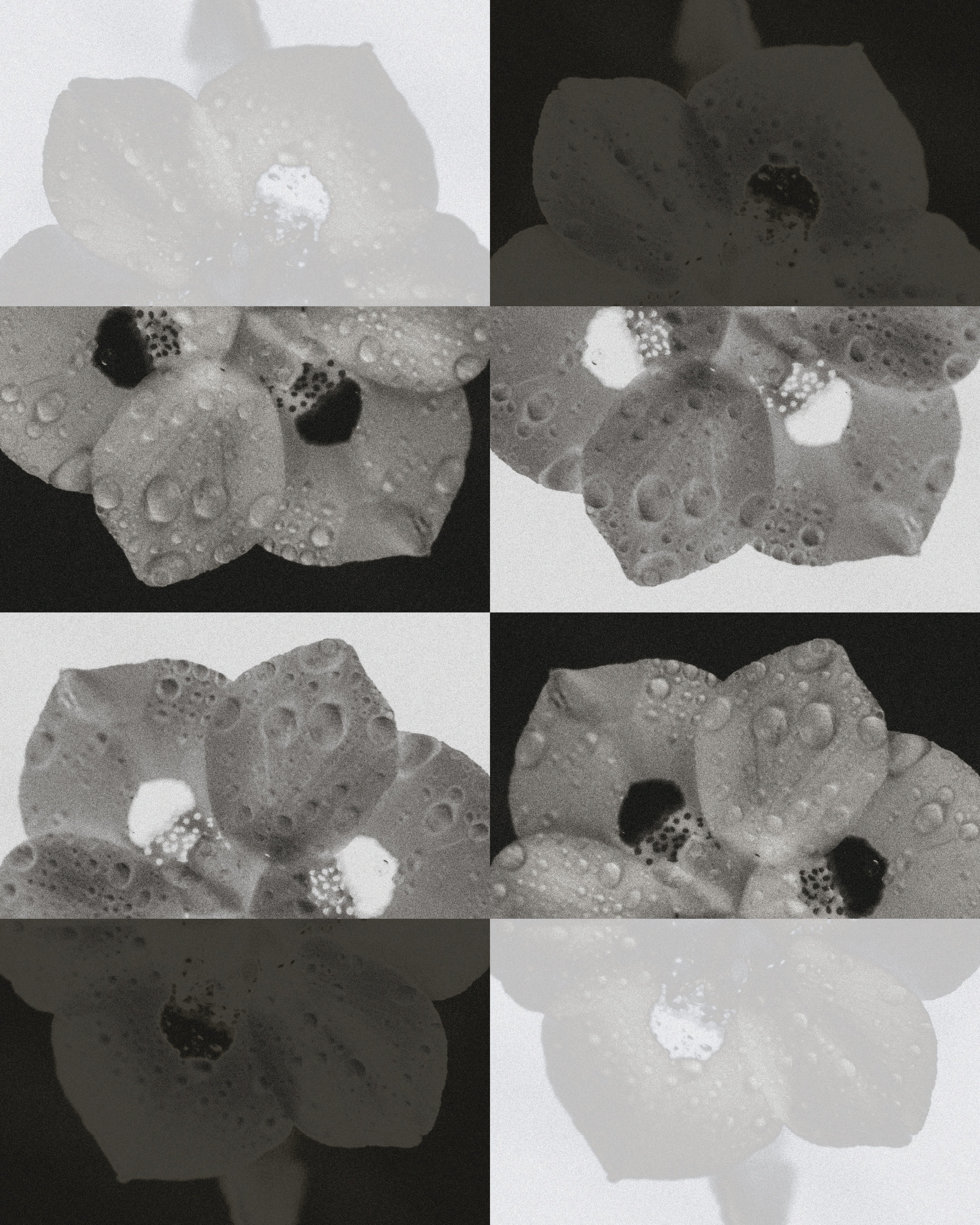 BLURRED STATES  MONO — 001