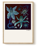 BOTANY OF KNOWING — Fine Art Print (BURNING)
