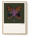 COSMIC BUTTERFLY — Metamorphosis of Sight (VERDANT)