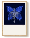COSMIC BUTTERFLY — Metamorphosis of Sight (BLUE)