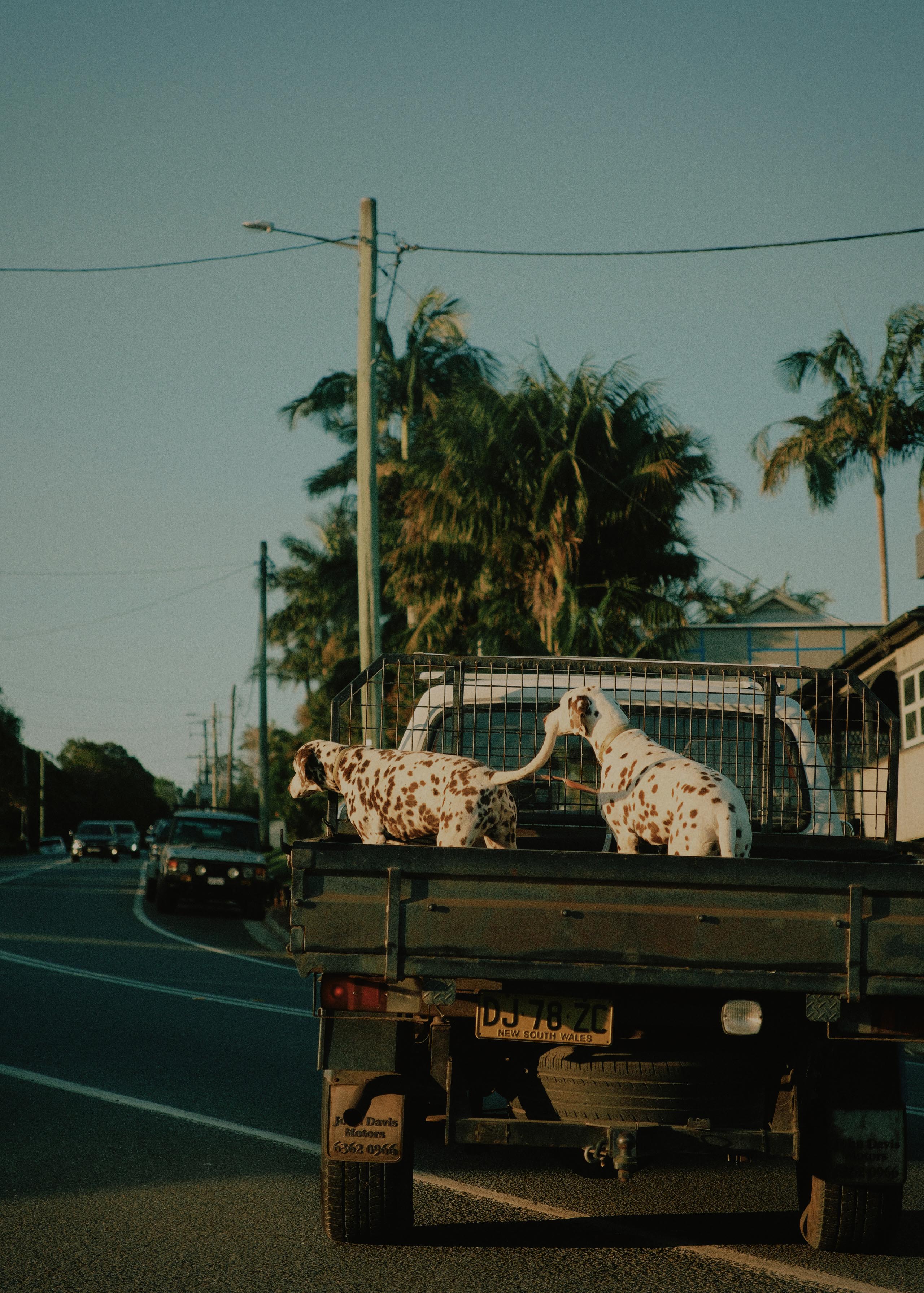 COLLECTED STILLS — 020