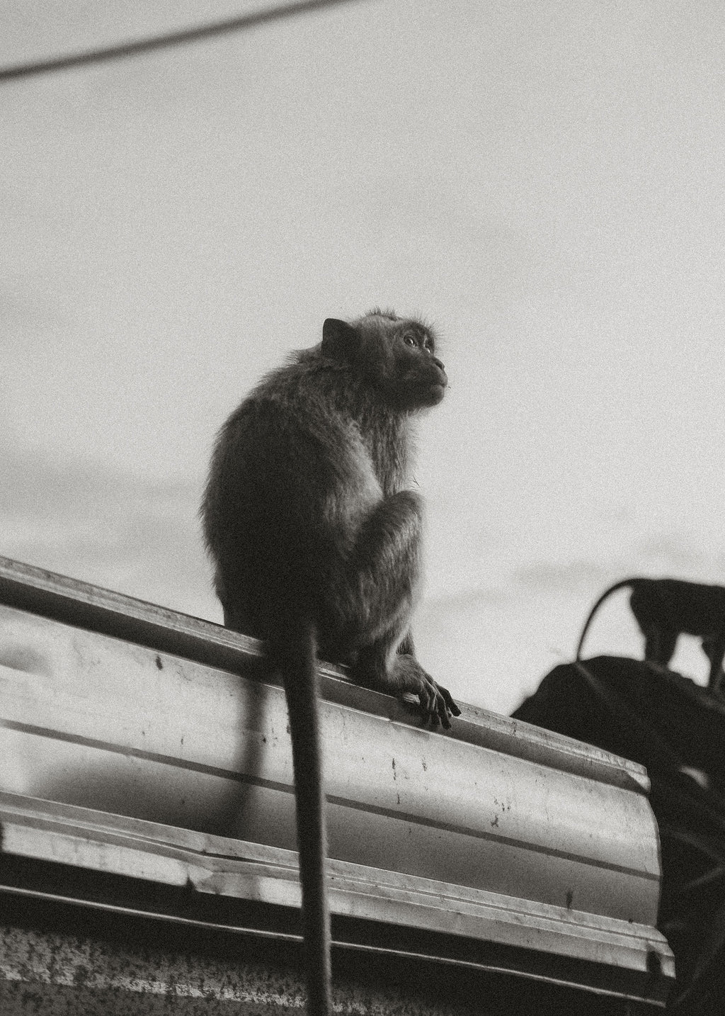 COLLECTED STILLS — 017