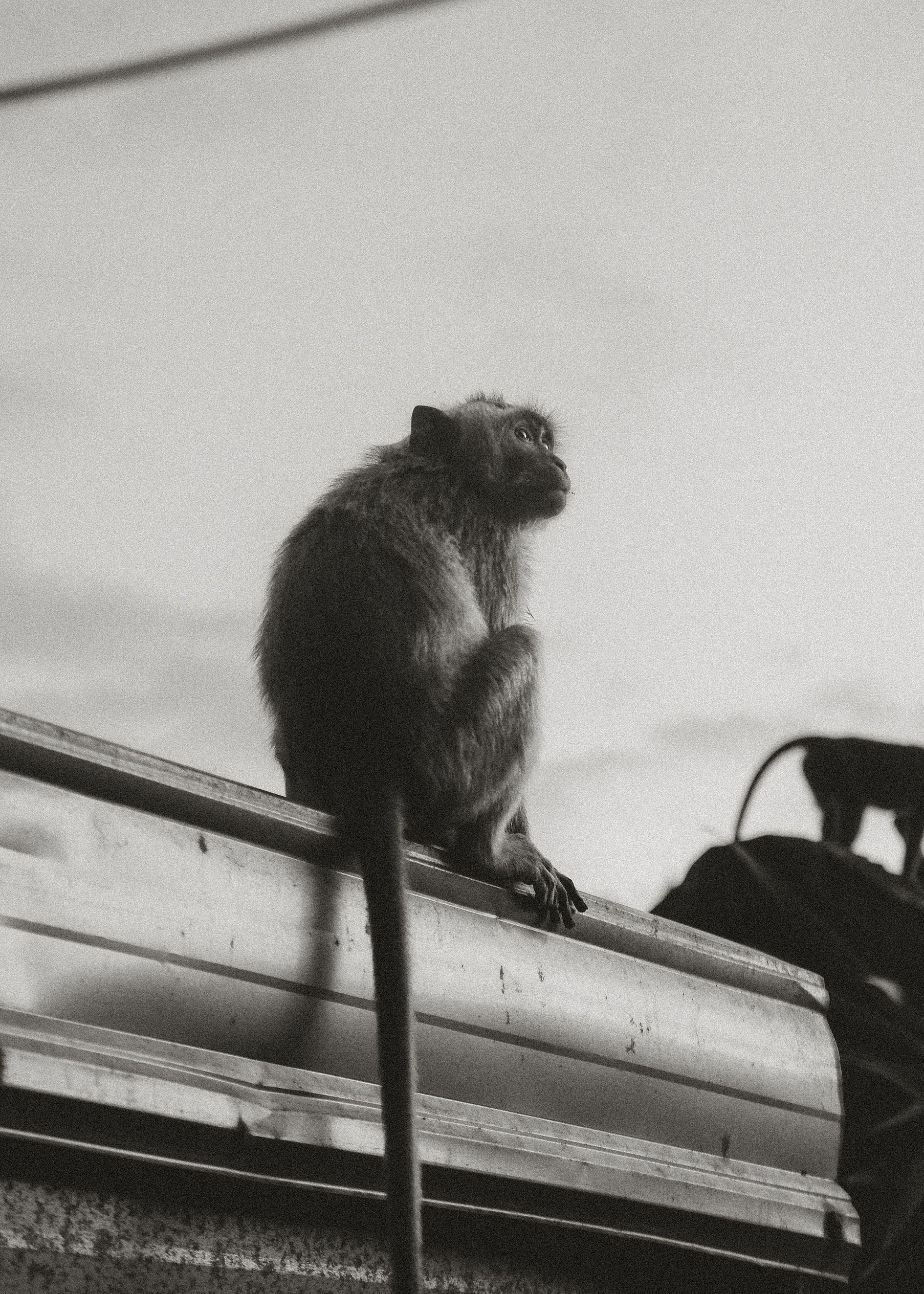 COLLECTED STILLS — 017