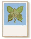 COSMIC BUTTERFLY — Metamorphosis of Sight (DAWN)