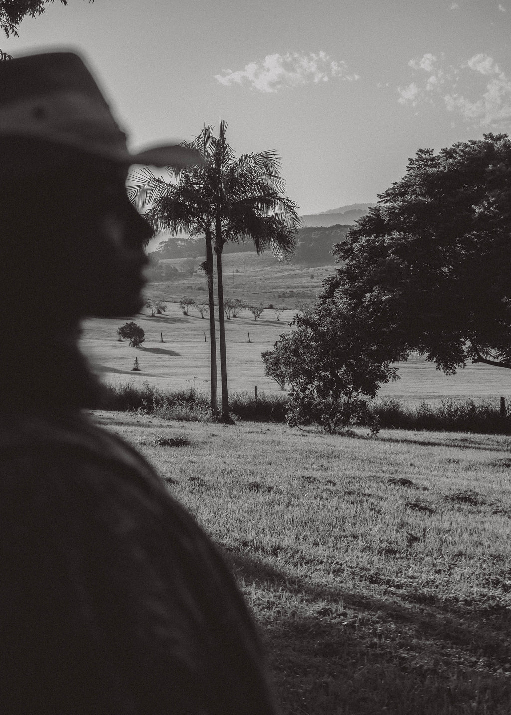 COLLECTED STILLS — 024