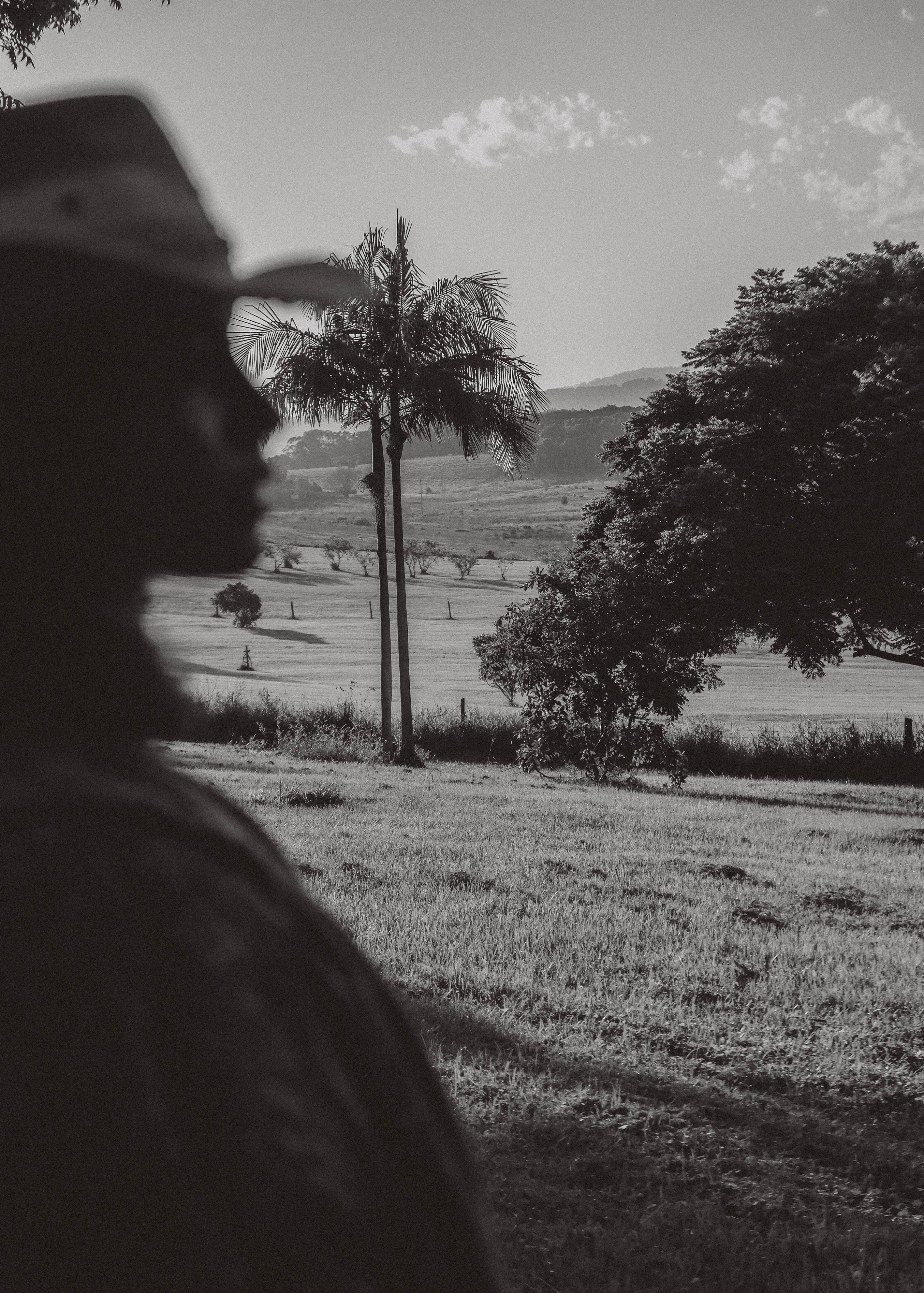 COLLECTED STILLS — 024
